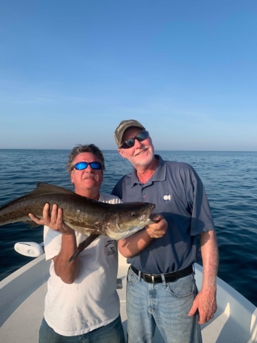 Cobia fishing with Captain Terry Payne Virginia Beach